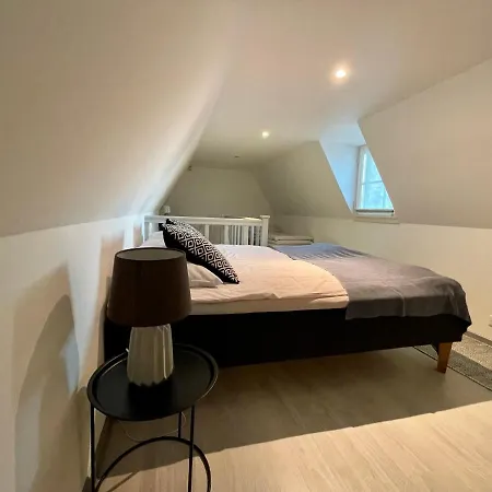 Luxury Penthouse With Terrace & Sauna In Old Town *